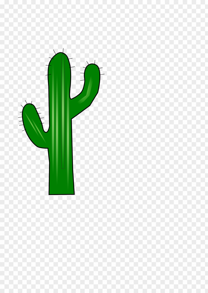 Cactus Cactaceae Clip Art PNG