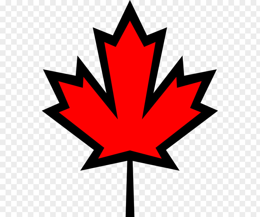 Canada Maple Leaf Clip Art Vector Graphics Flag Of PNG