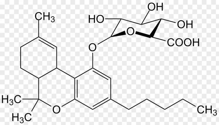 Cannabis Tetrahydrocannabinol Molecule Endocannabinoid System PNG