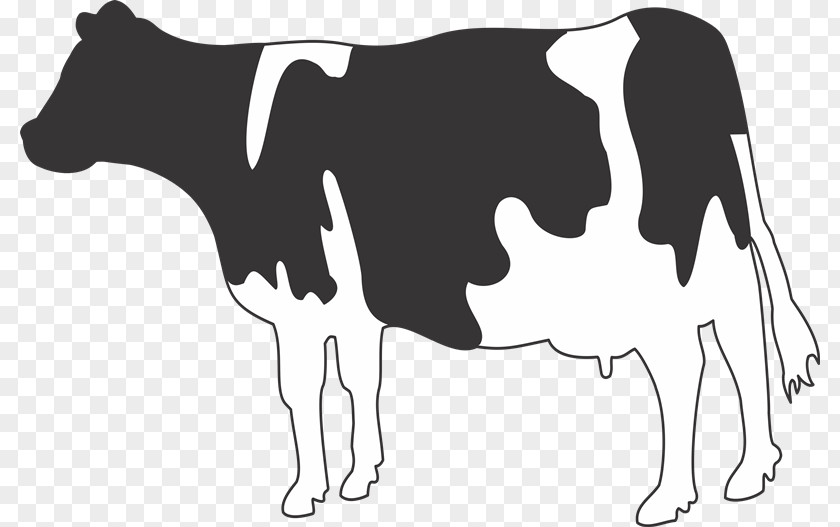 Dairy Cow Jersey Cattle Holstein Friesian Belgian Blue Water Buffalo PNG