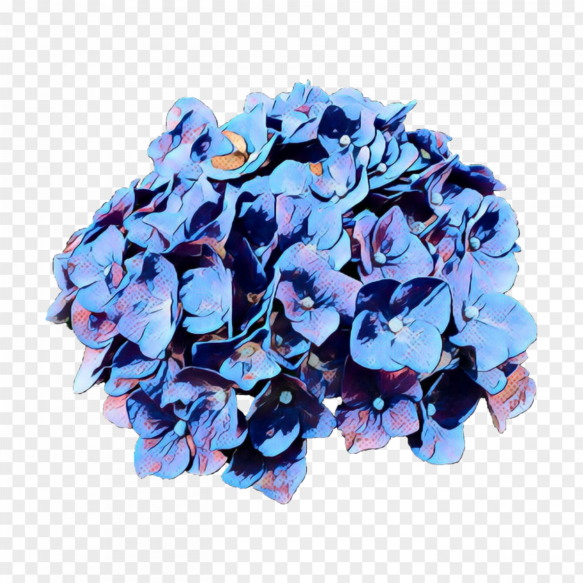 Iris Morning Glory Blue Flower PNG