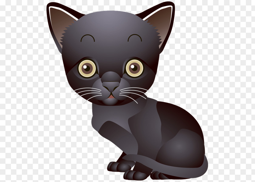 Kitten Black Cat PNG
