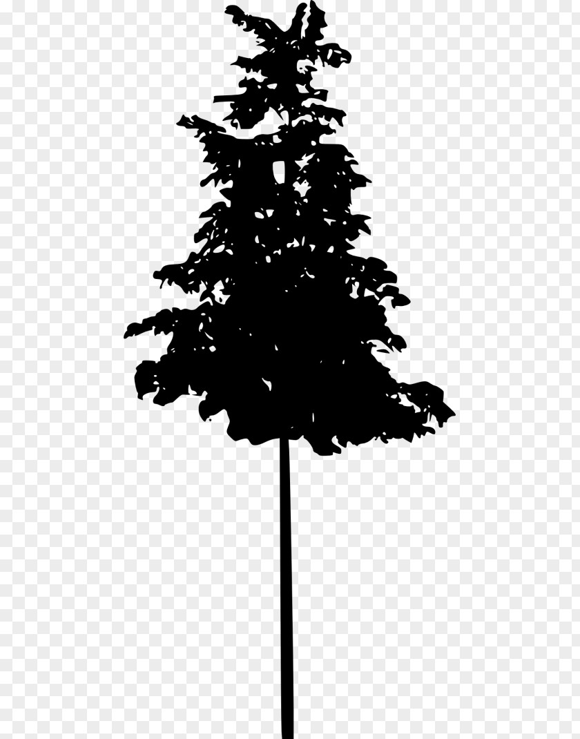 Silhouette Spruce Fir Pine Black And White PNG
