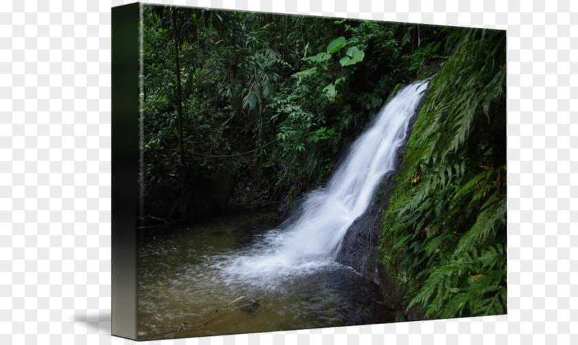 Waterfall Scenery Water Resources Nature Reserve Rainforest Stream PNG