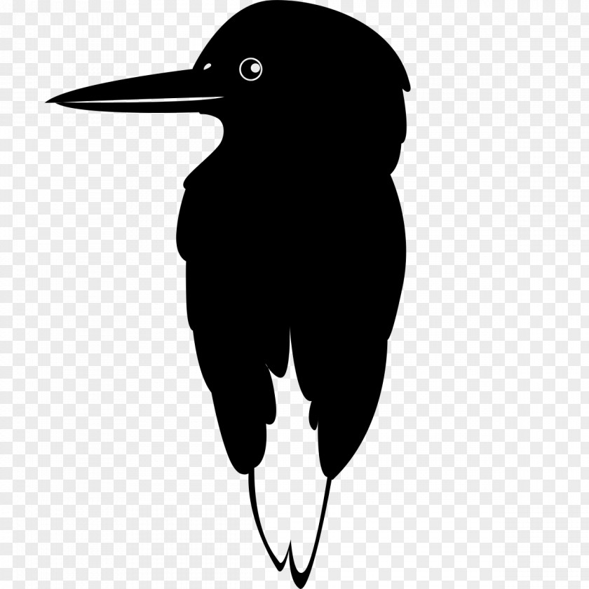 Bird Beak Flightless Silhouette Clip Art PNG