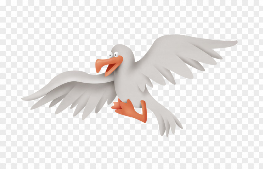 Duck Bird Drawing Animation PNG