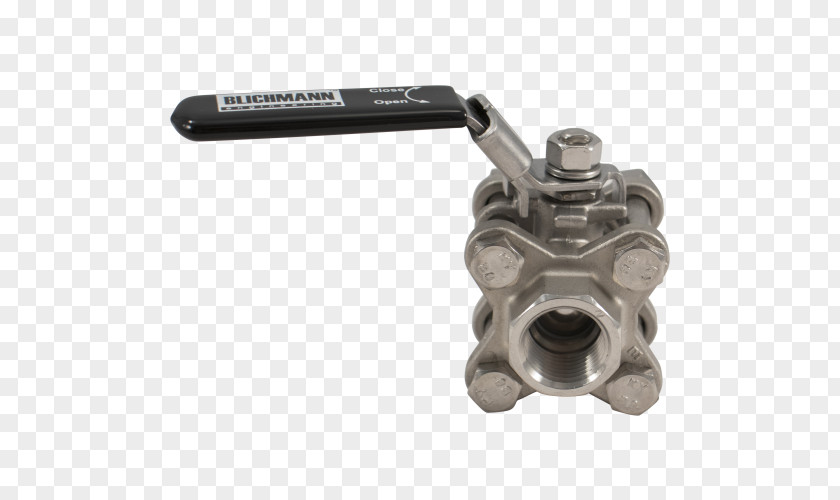 Globe Valve Ball National Pipe Thread Stainless Steel PNG
