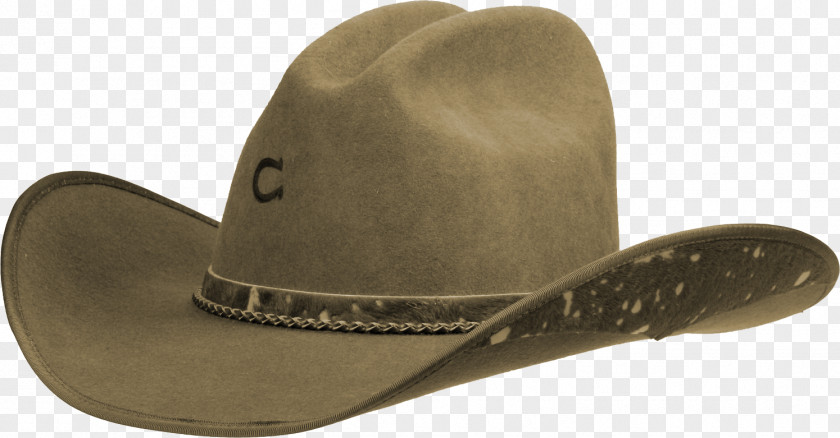 Hat Cowboy 23 June Blog PNG