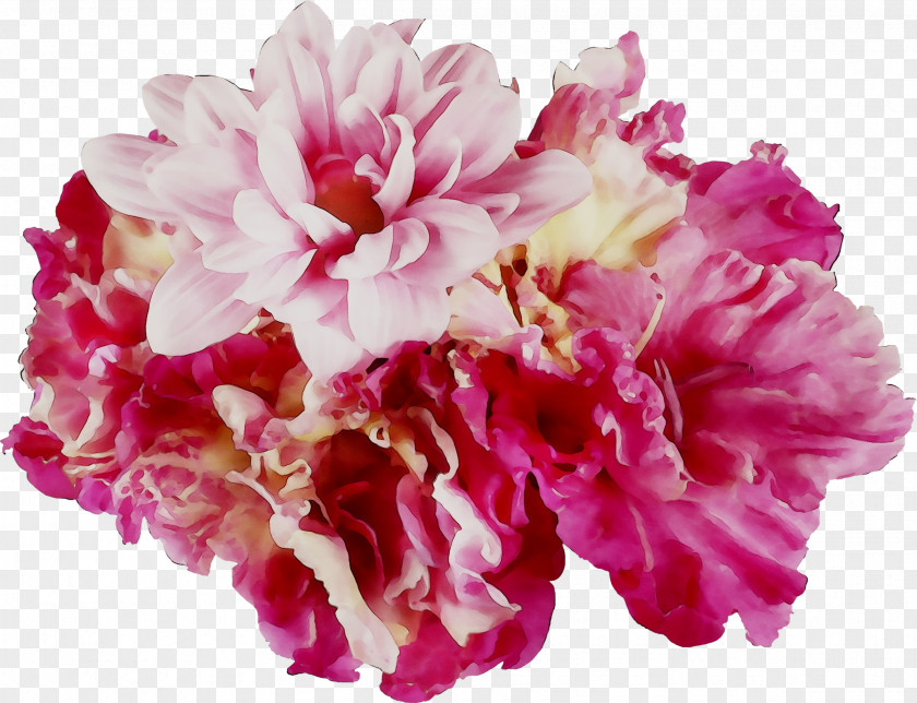 Lily Cut Flowers Peony Carnation PNG