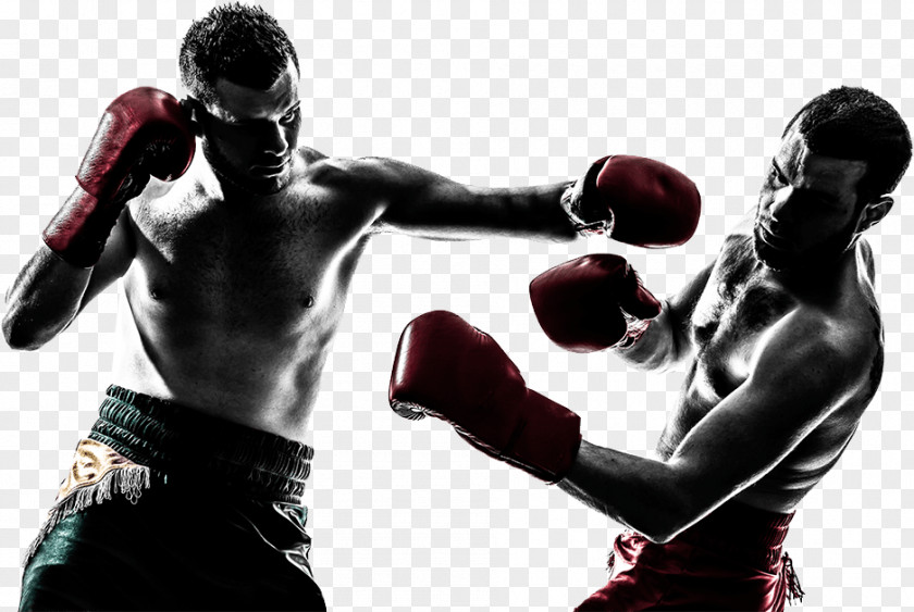 Mixed Martial Arts Boxing Glove PNG