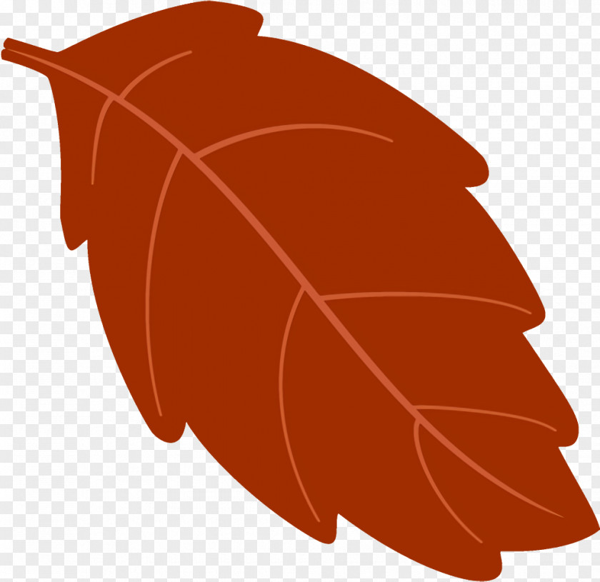 Plant Leaf Autumn Fallen Dead PNG