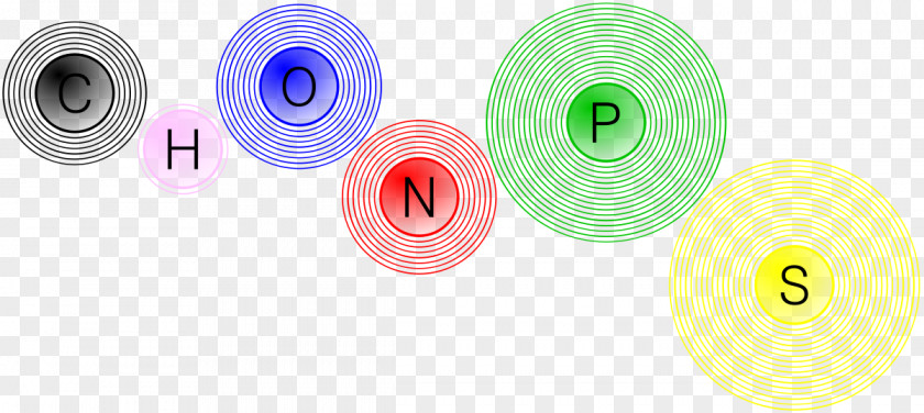 CHON Cell Chemistry Biology Nitrogen PNG