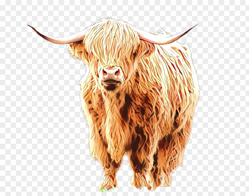 Horn Bovine Bull Livestock Ox PNG