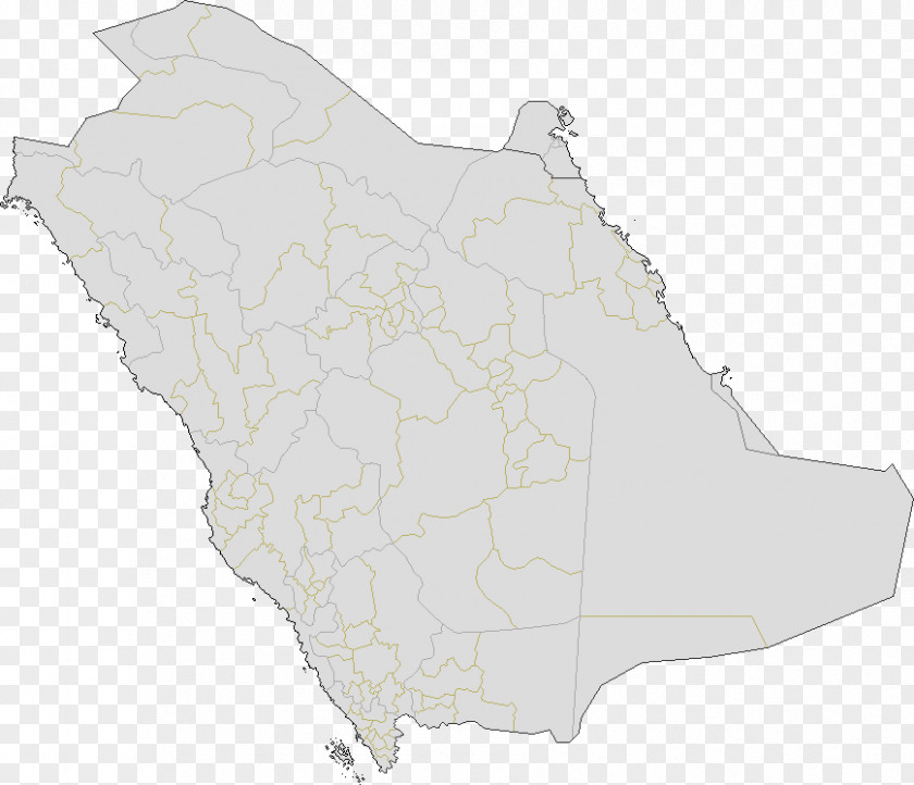 Saudi Map Tuberculosis PNG