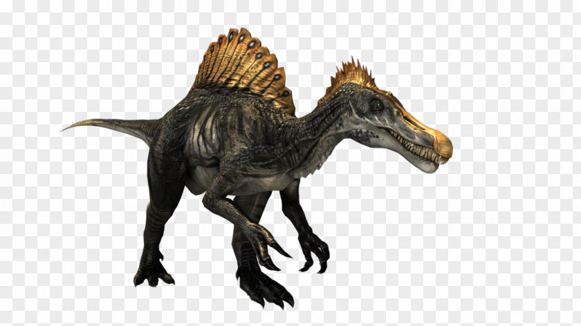 Spinosaurus Tyrannosaurus Velociraptor Terrestrial Animal Legendary Creature PNG