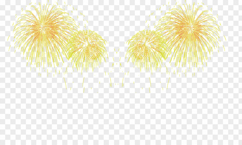 Beautiful Fireworks Yellow Petal Pattern PNG