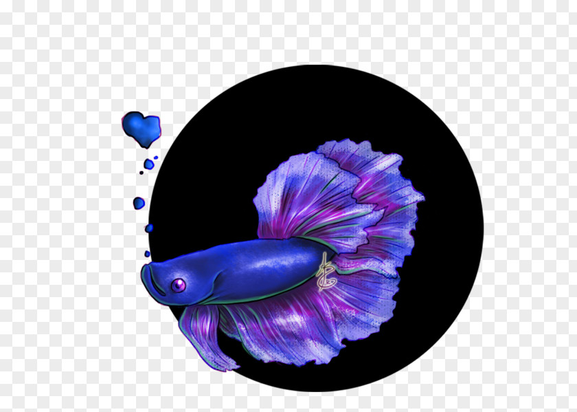 Betta Siamese Fighting Fish Blue DeviantArt PNG
