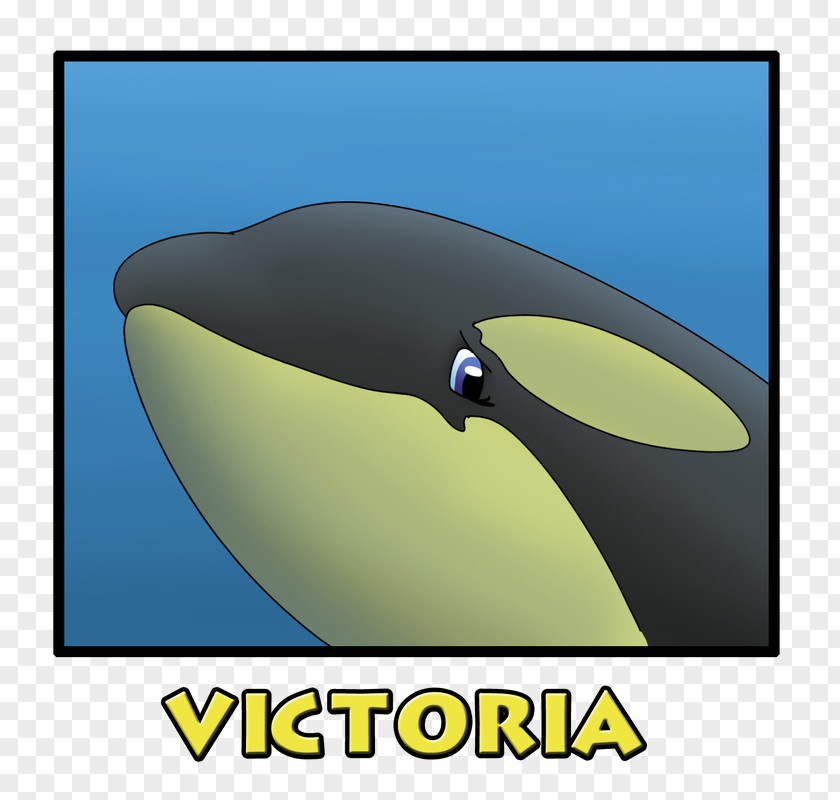 Dolphin Loro Parque The Killer Whale SeaWorld PNG