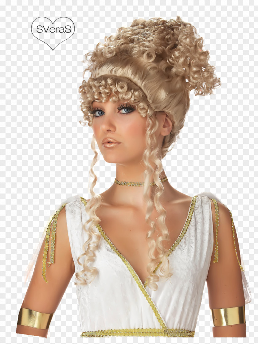Goddess Adult Athenian Wig Costume Clothing Accessories PNG