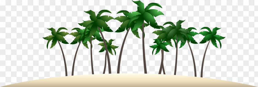Palm Tree Beach Vector Arecaceae Euclidean Computer File PNG