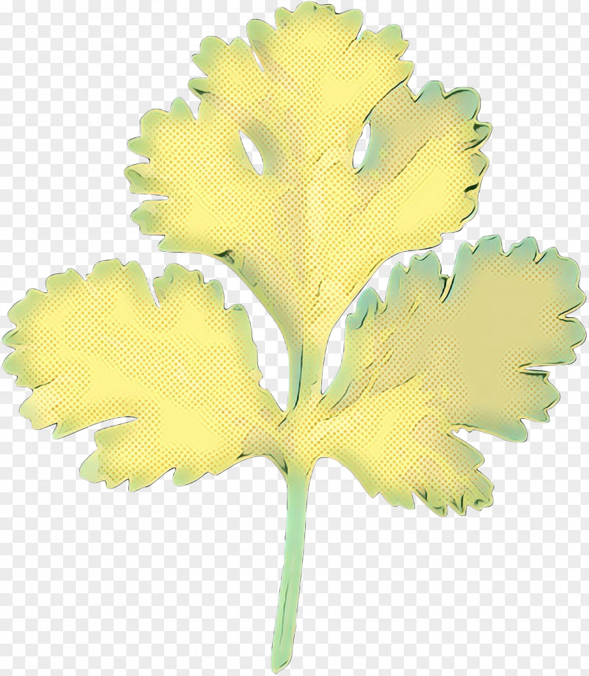 Plant Stem Leaf Flowering Tree Plants PNG