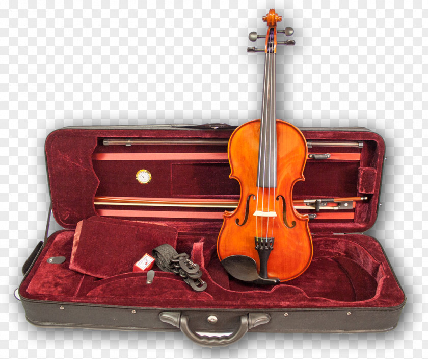 Violin Bass Violone Viola Cello PNG