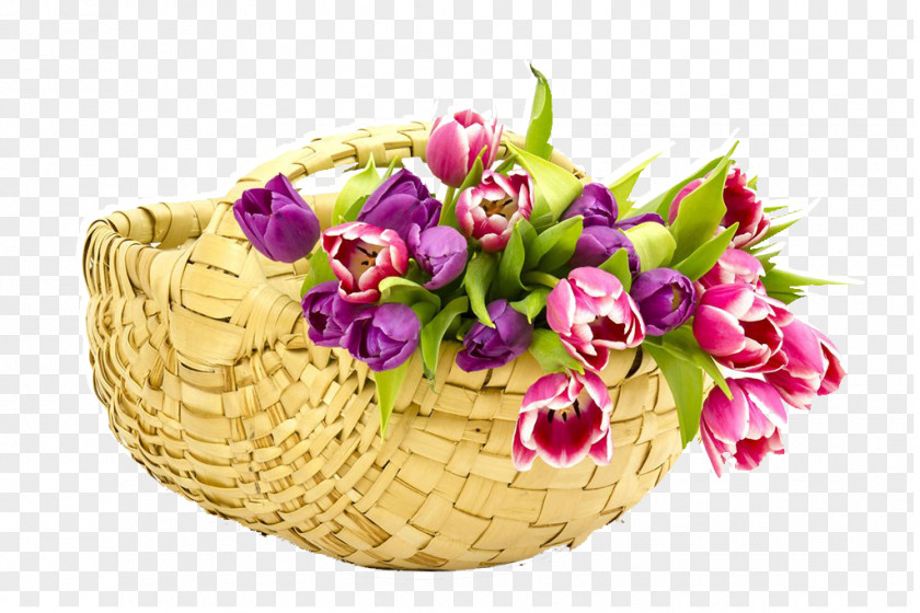 A Basket Of Tulips Pull Material Free Flower Moes On Ten Gift Complejo Educacional Padre Nicolxe1s Tulip PNG