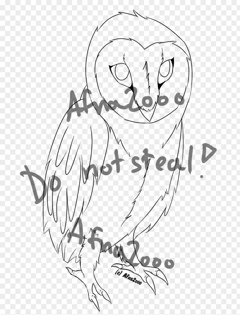 Barn Owl Beak Drawing Line Art Cartoon Clip PNG