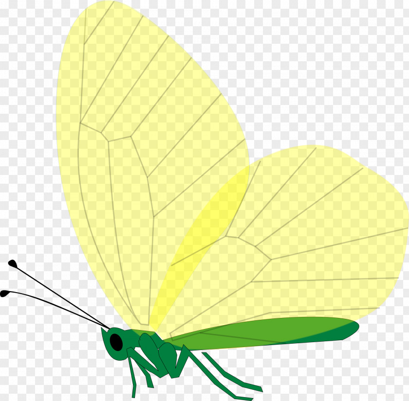 Butterfly Pastel Clip Art PNG