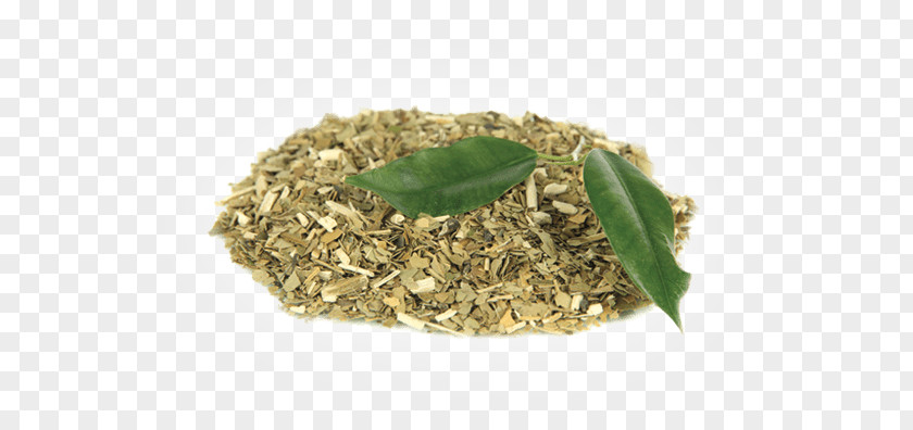 Cuisine Ingredient Green Tea PNG