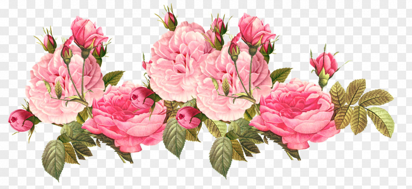 Flower Clip Art Floral Design Image PNG