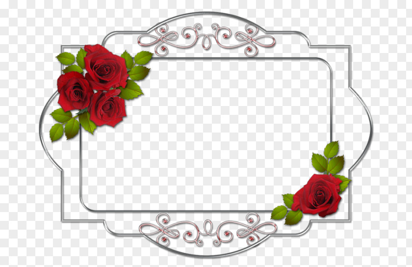 Flower Garden Roses Picture Frames Red French Rose Clip Art PNG