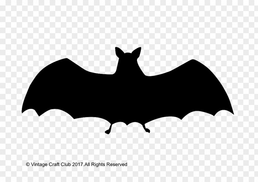 My First Halloween Bat Craft Logo Label PNG