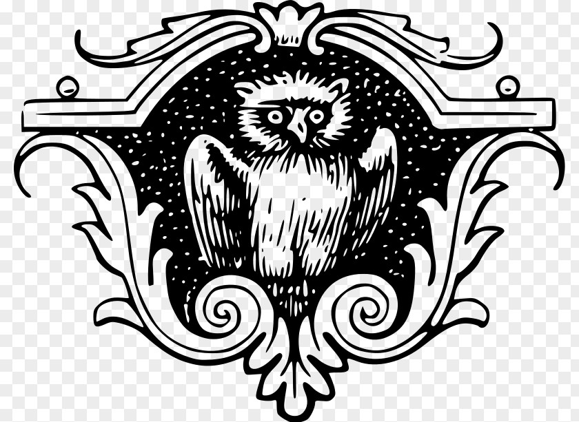 Owl Bird Of Prey Animal Illustrations Clip Art PNG
