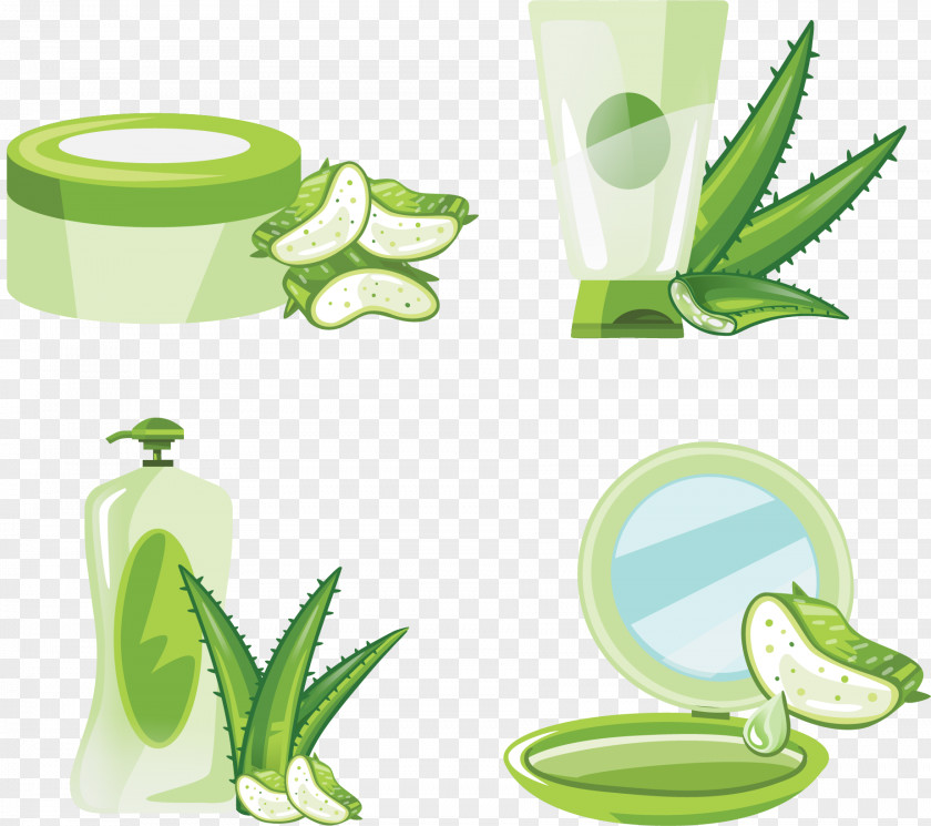 Vector Hand-painted Aloe Skin Care Products Vera Euclidean PNG