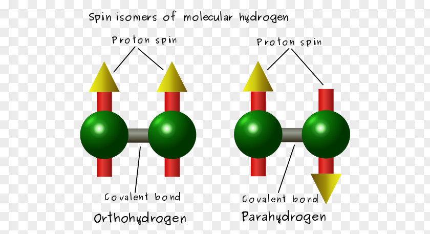 Water Spin Isomers Of Hydrogen Dihydrogen PNG