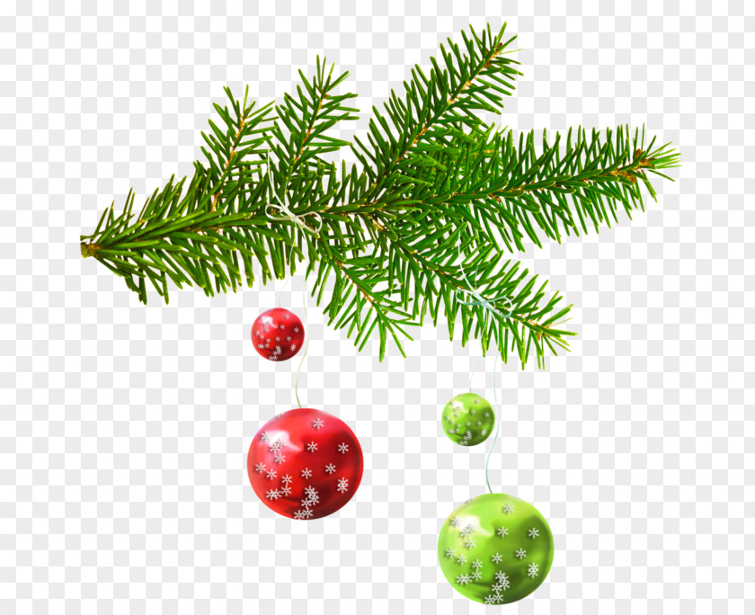 Christmas Tree Ornament Fir Day New Year PNG