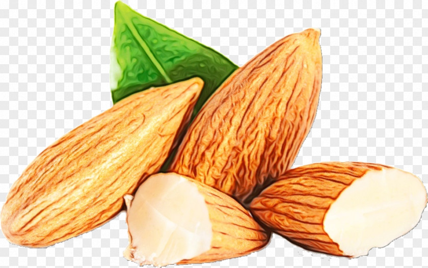 Cuisine Nuts Seeds Almond Food Apricot Kernel Nut Plant PNG