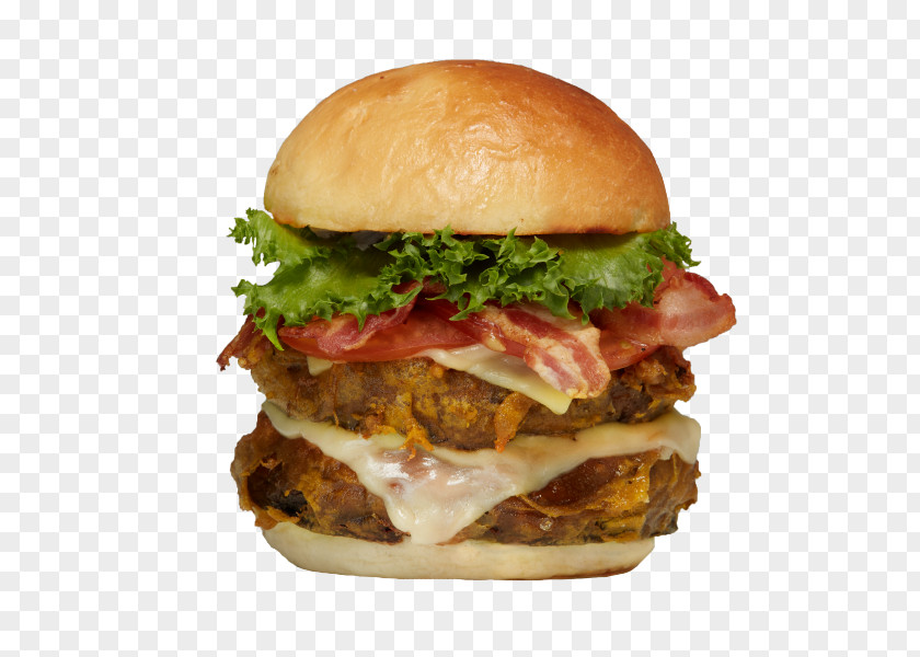 Junk Food Cheeseburger Whopper Fast Buffalo Burger Hamburger PNG