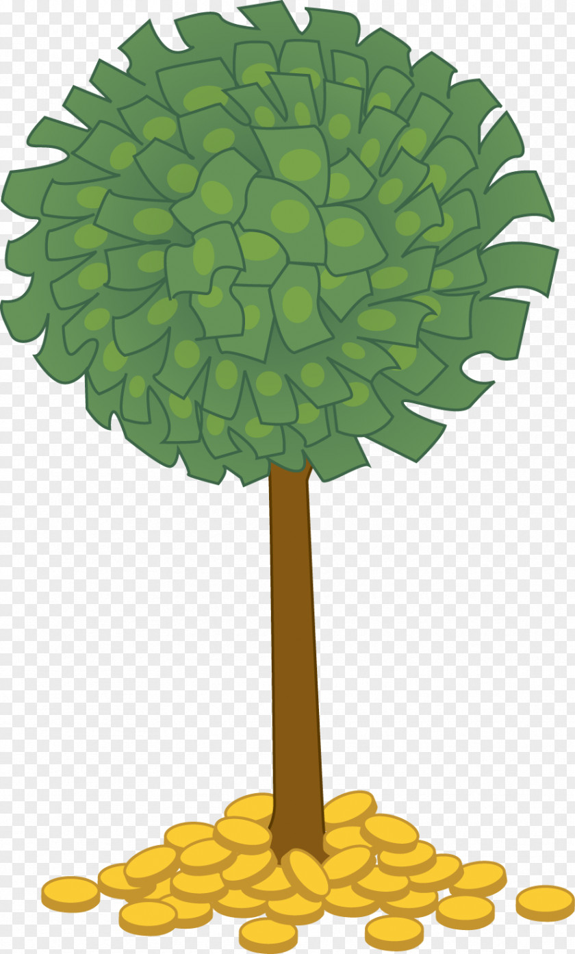Money Tree Guiana Chestnut Clip Art PNG