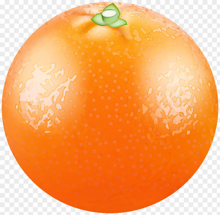 Orange PNG