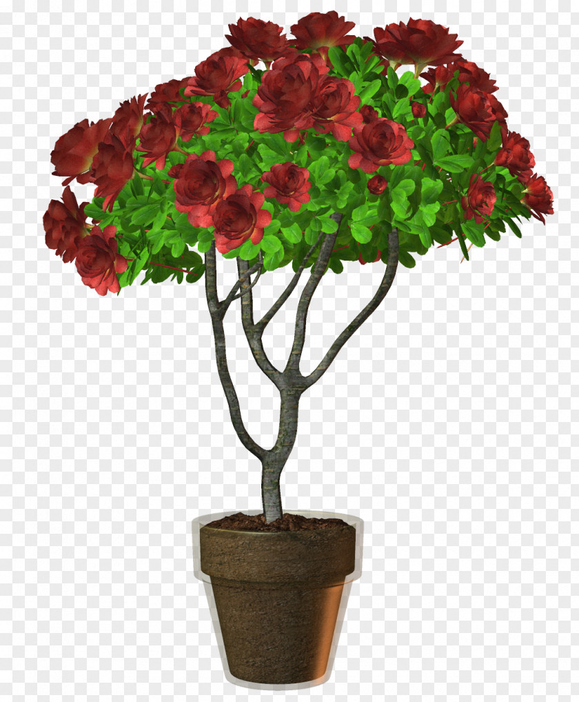 Plant Flowerpot Cut Flowers Houseplant PNG