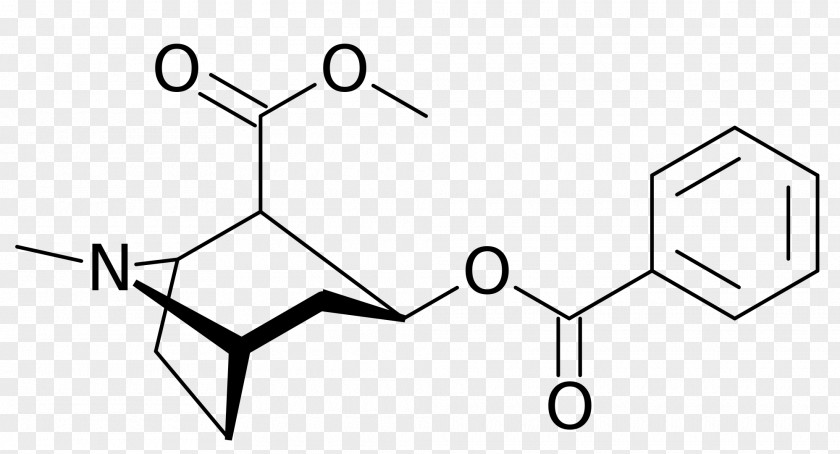 Alkaloid Cocaine Drug Erythroxylum Coca Chemical Compound PNG