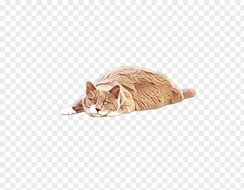 Cat Bed Headgear Toy Small To Medium-sized Cats Tabby Beige PNG