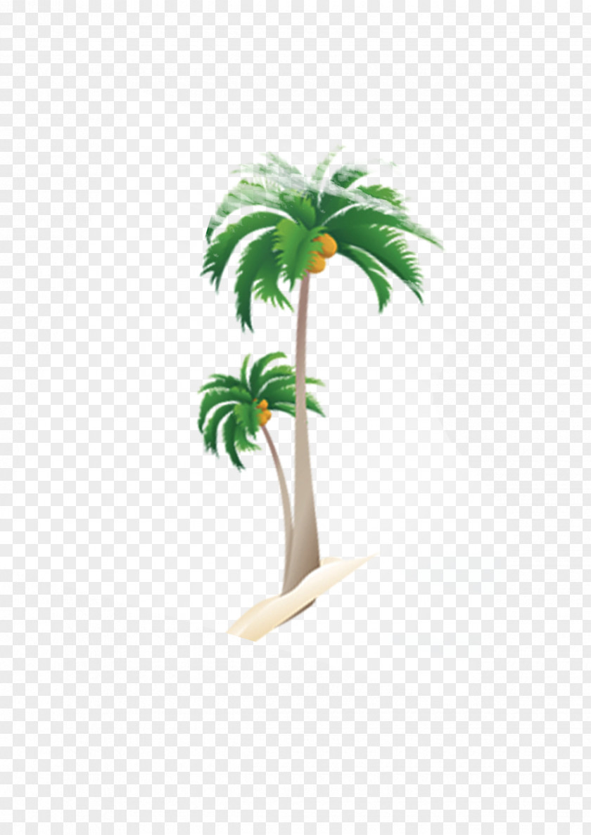 Coconut Palm Trees Nata De Coco Tree Arecaceae PNG