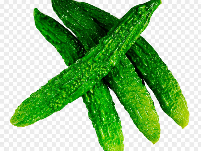 Cucumber Bitter Melon Vegetable Food PNG