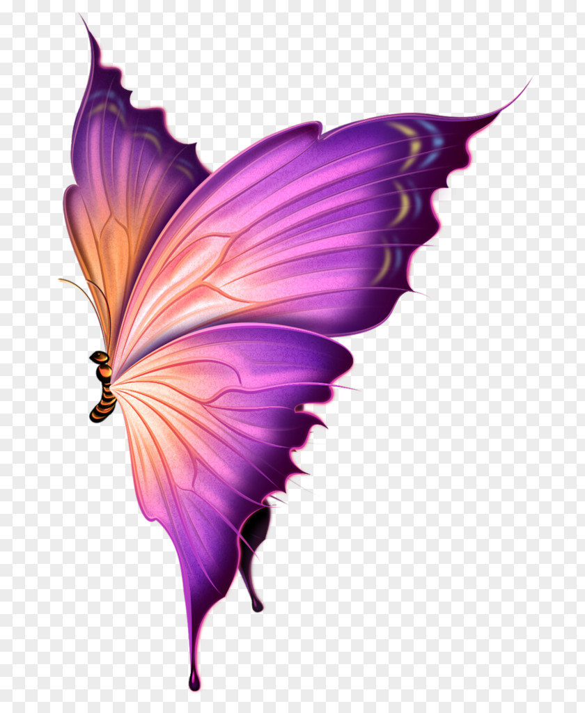 Hand-painted Butterflies,Cartoon Purple Butterfly Dream LiveInternet Clip Art PNG