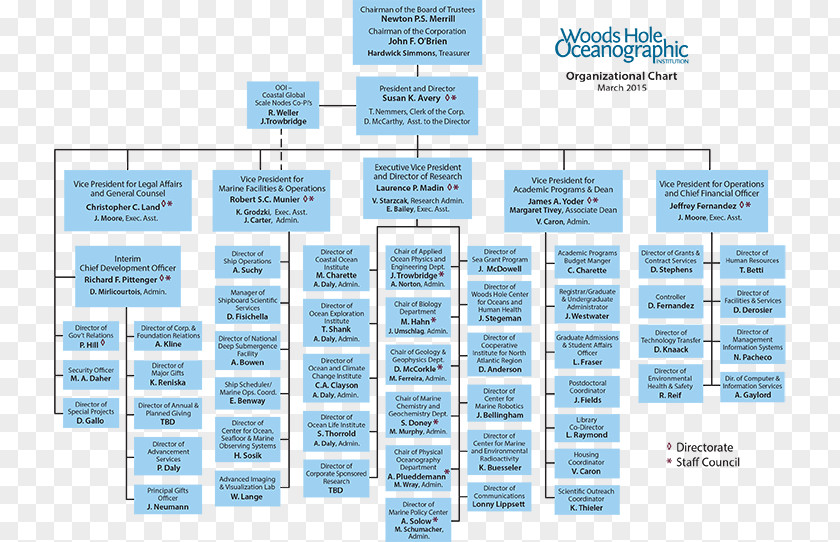 Organization Chart Organizational Non-profit Organisation Structure Business PNG