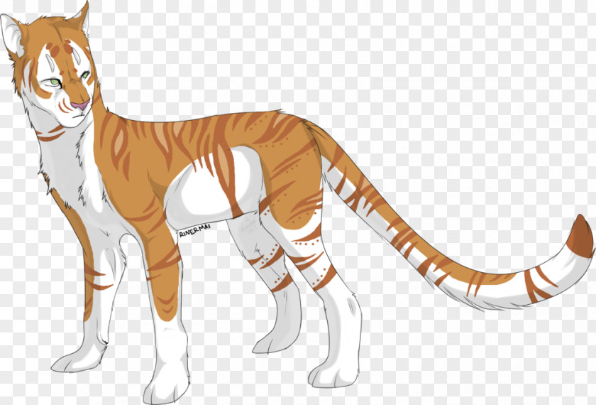 Cat Tiger Dog Wildlife Fauna PNG