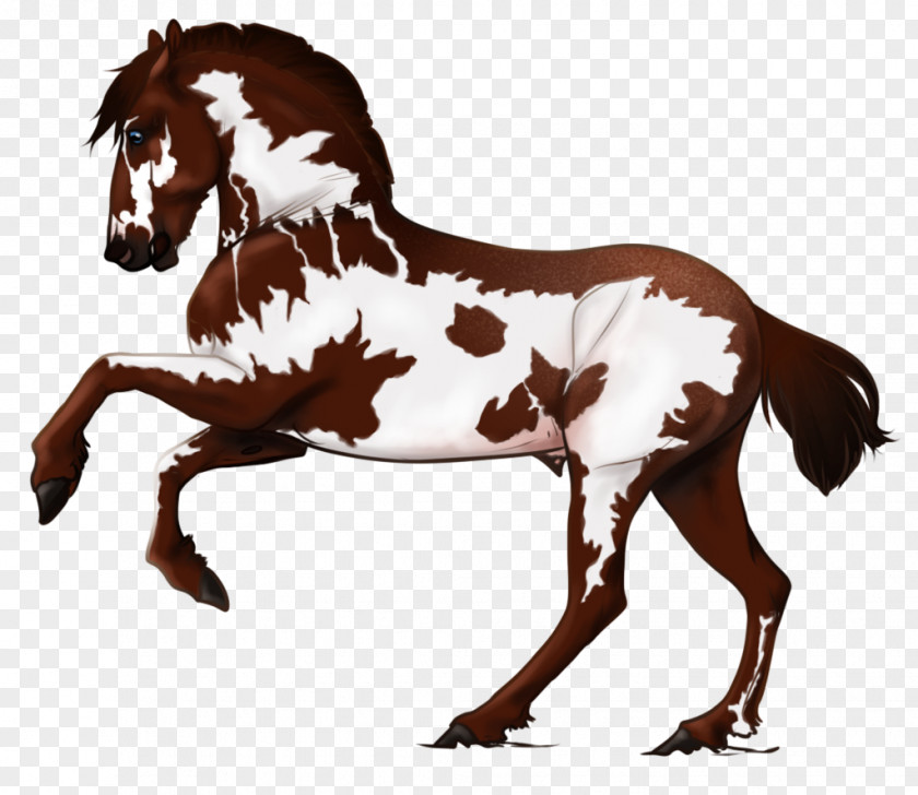 Mustang Mane Pony Mare Foal PNG